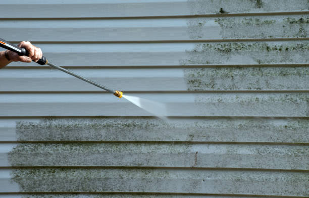 Best Roof Power Washing Services  in Crittenden, KY